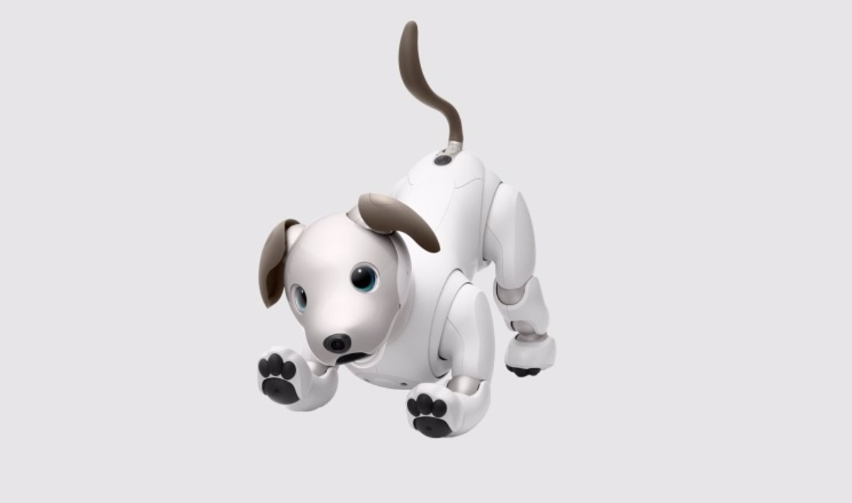 Aibo, el perro-robot que aprende a estimar