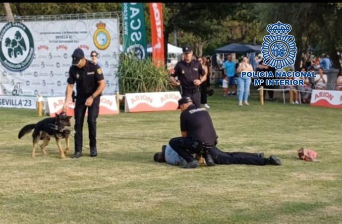 Exhibición de la Unidad Canina de la Policía Nacional de Sevilla en el Parque del Alamillo.