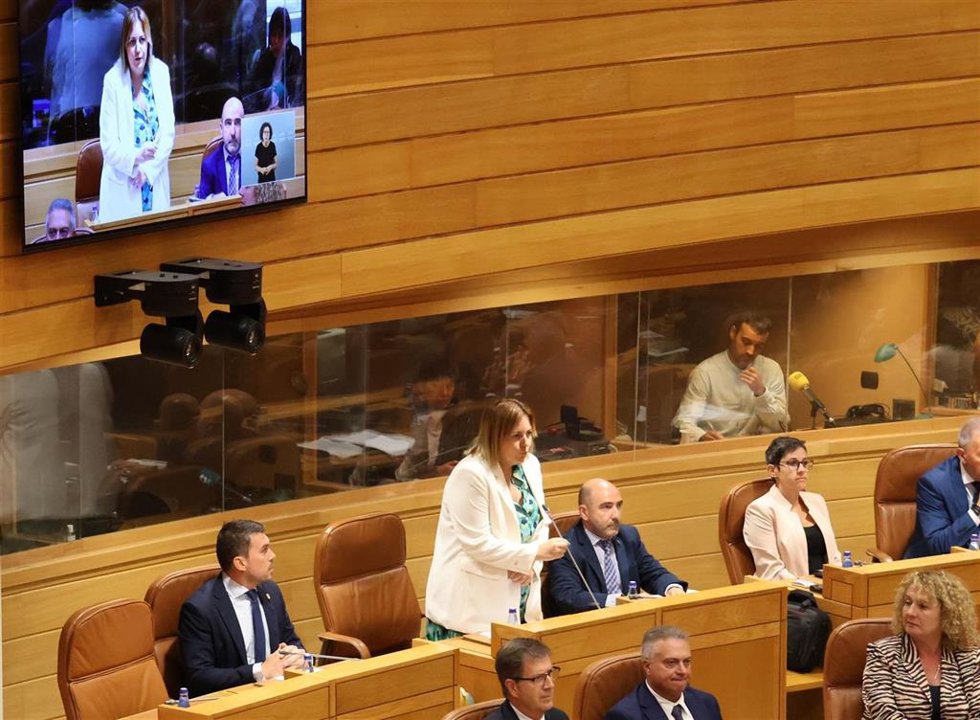 Sandra Vilela y José Luis Regueiro, nuevos diputados del PP