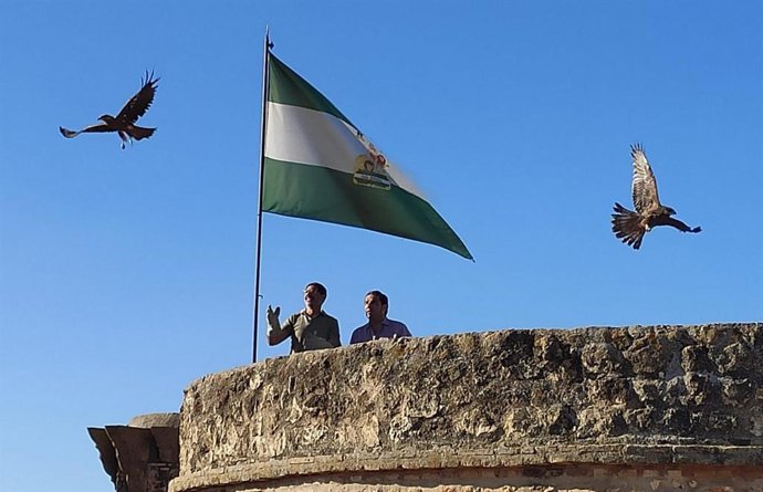 Imagen de la suelta en Niebla (Huelva) de dos de las aves recuperadas.