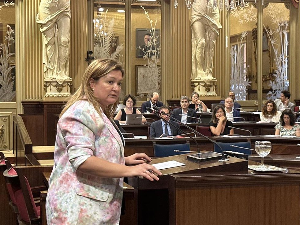 La diputada socialista Mercedes Garrido, durante su intervención.