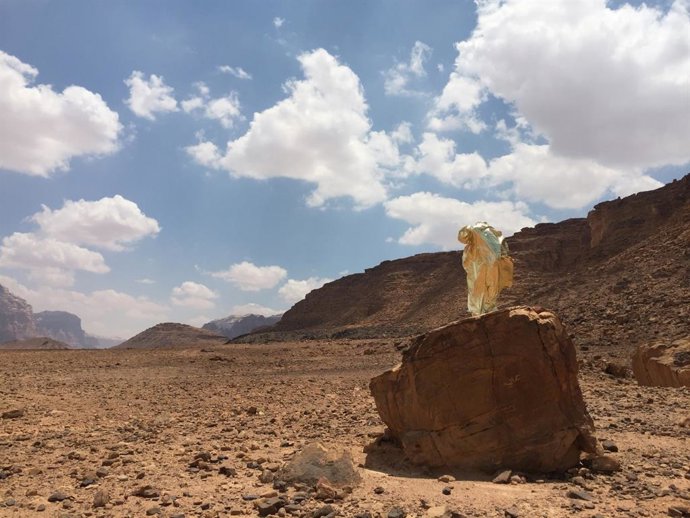 LA MERCERÍA OBRA DE LLUIS MASIA