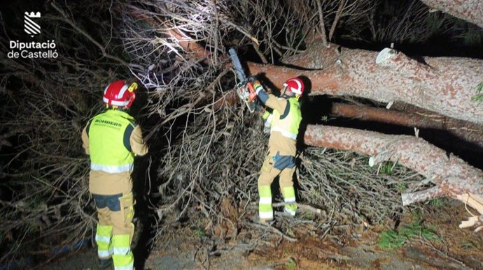 Bomberos trabajan con árboles caídos por el temporal