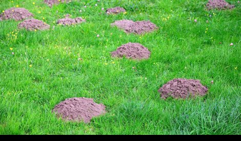 Comunicados Empresas