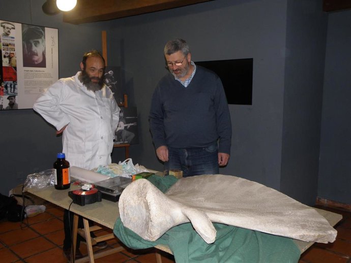 Investigadores, junto a un hueso de ballena