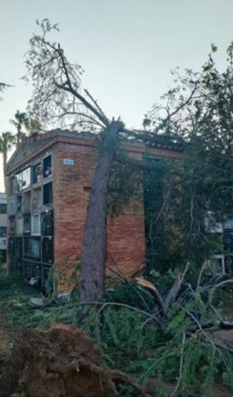 Cementerio Municipal de Borriana