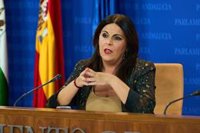 PSOE-A ve un "lavado de cara" el anuncio de compra de terreno para Doñana y exige a la Junta "transparencia absoluta"