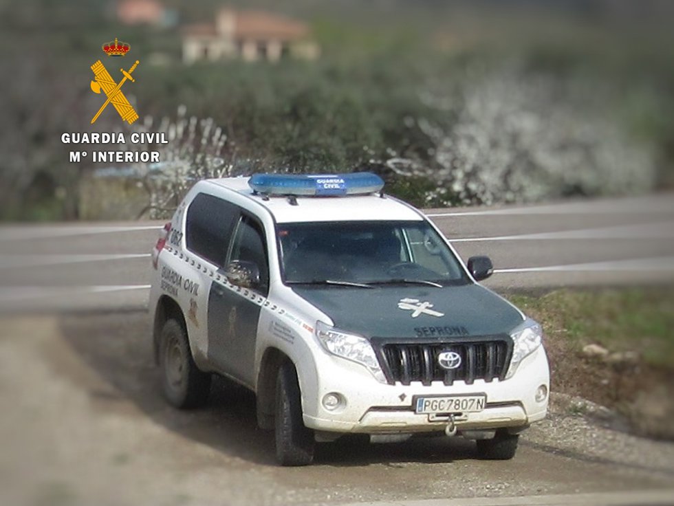 Archivo - Seprona de la Guardia Civil
