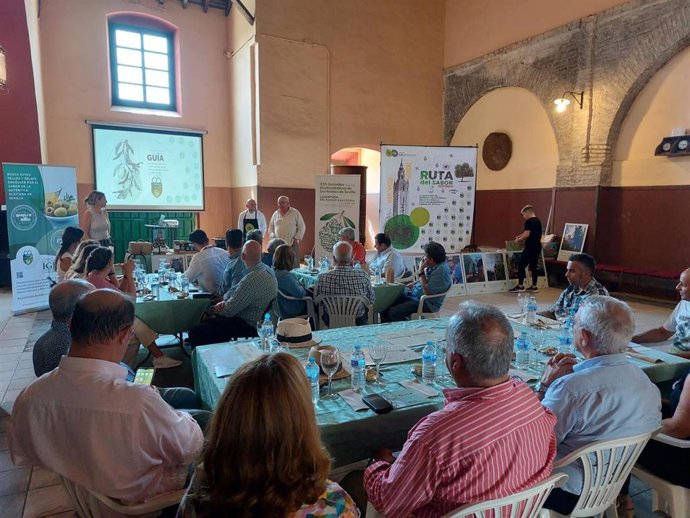 Los hoteles de Sevilla visitan el olivar del Aljarafe para preparar sus XXII Jornadas Gastronómicas.