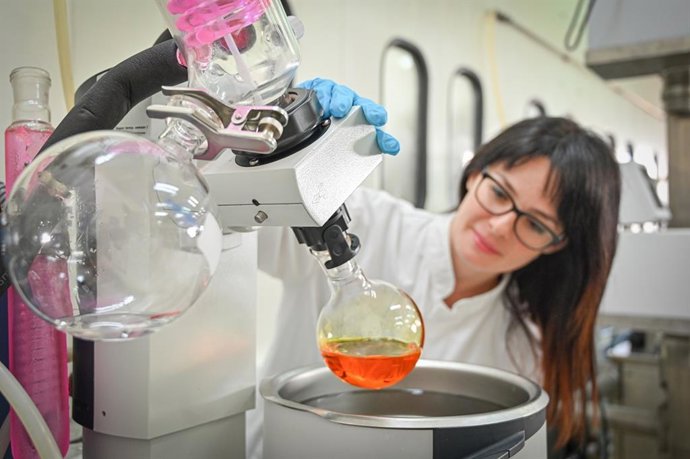 Archivo - Investigadora de Ainia