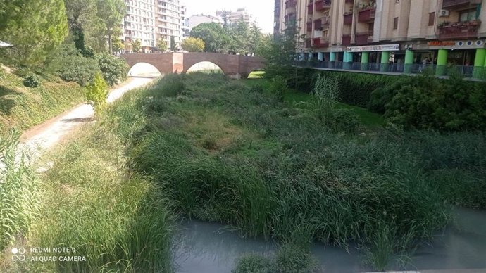 El río Sosa a su paso por Monzón.