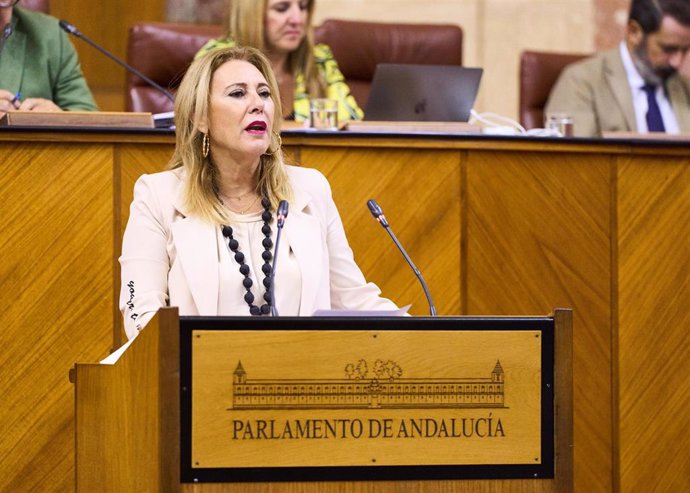 La consejera de Economía, Carolina España, este miércoles durante su comparecencia en el Pleno del Parlamento.