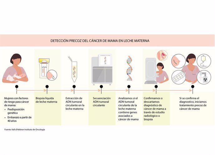 Investigadors del Vall d'Hebron Institut d'Oncologia (Vhio) han comprovat en un estudi que la llet materna de les pacients amb cncer de mama conté ADN del tumor