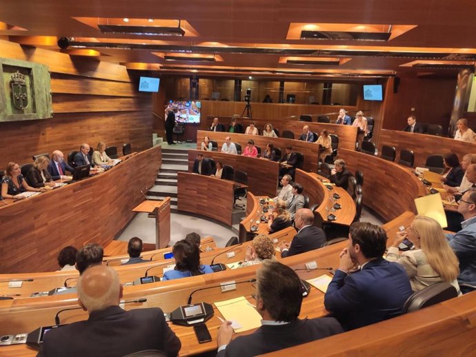 Pleno de la Junta General