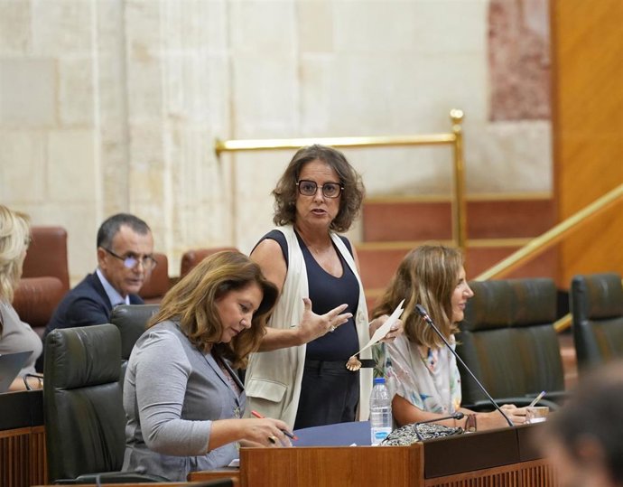 La consejera de Salud y Consumo, Catalina García, responde en el Pleno del Parlamento a las preguntas.
