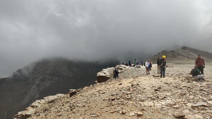 Un total de 66 deportistas de Faisem realizan la cuarta ascensión al pico del Veleta.