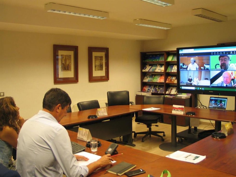 El presidente del Consejo Econímico y Social de Andalucía, Juan Marín, se reúne por vía telemática con sus homólogos en otras comunidades autónomas.