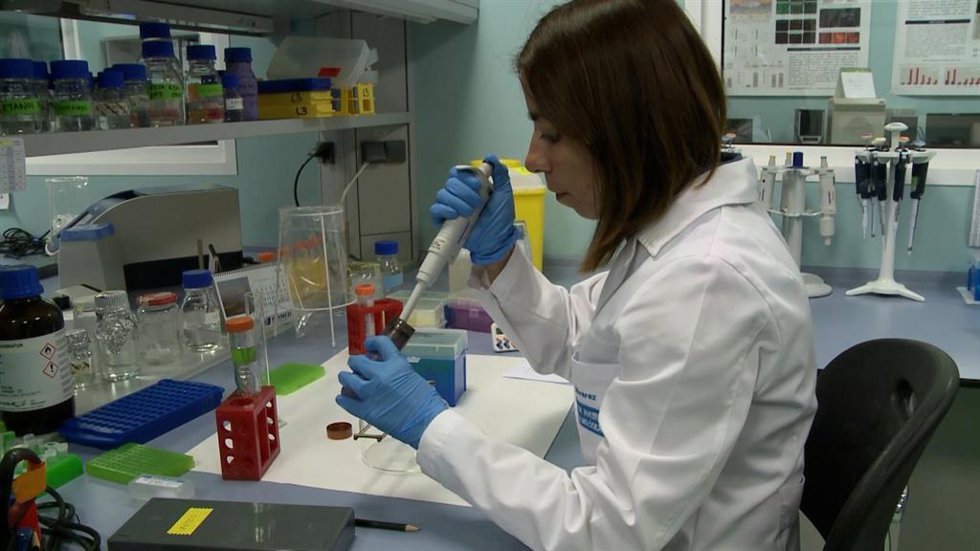 Seis nuevos tumores de pronóstico desfavorable se beneficiarán de la inmunoterap