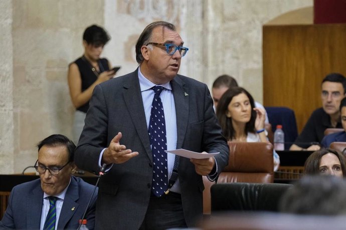 El consejero de Turismo, Cultura y Deporte, Arturo Bernal, durante su intervención en el Parlamento de Andalucía.