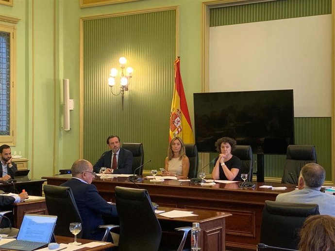 El conseller de Empresa, Empleo y Energía, Alejandro Sáenz de San Pedro, en la Comisión de Economía
