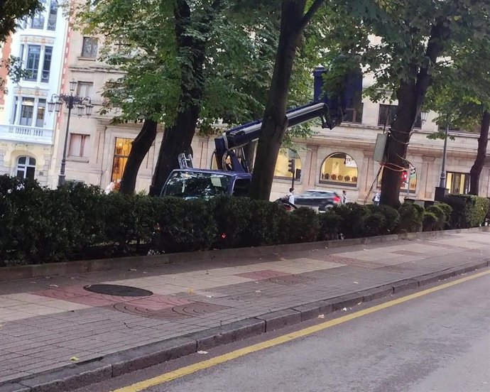 Cuadros eléctricos instalados en árboles del Campo San Francisco de Oviedo con motivo de las fiestas de San Mateo.