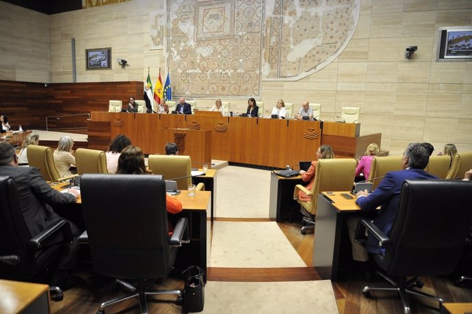 Pleno de la Asamblea de Extremadura