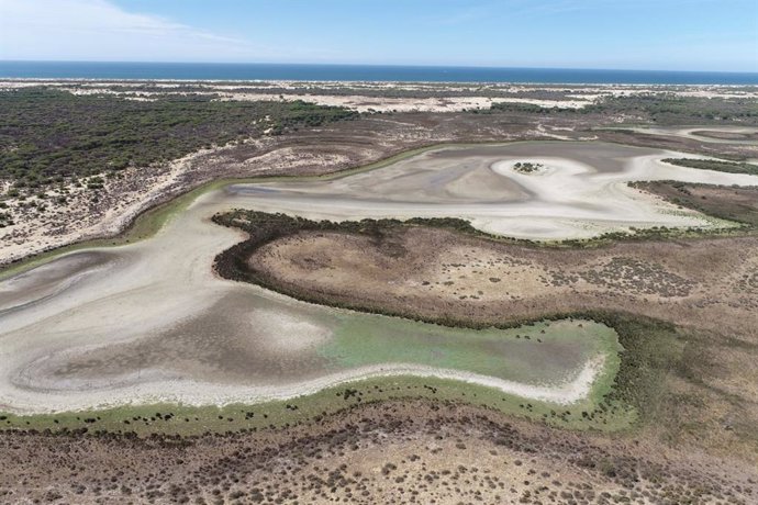 Archivo - Imagen de archivo de la laguna de Santa Olalla, en Doñana, seca en agosto de 2022.