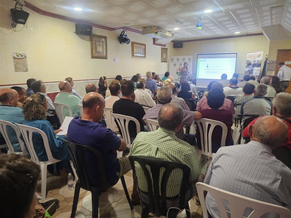 Jornada de debate de la Unión de Pequeños Agricultores y Ganaderos (UPA), y la compañía Deoleo en el marco de la colaboración que ambas entidades desarrollan.