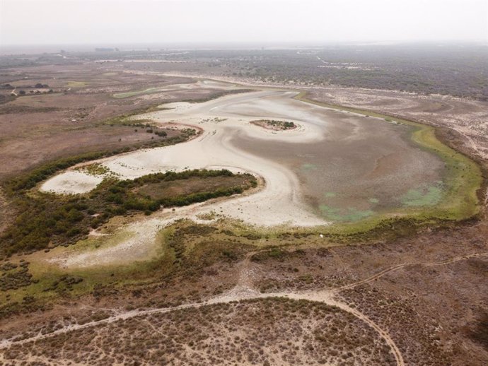 Archivo - Parque de Doñana 