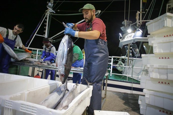 Archivo - Imagen de un trabajador en un barco. 