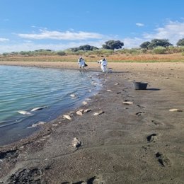 Operarios de la CHG recogen los peces muertos en el embalse de La Colada.