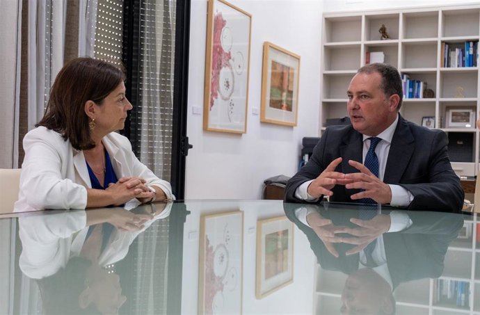 El presidente de la Diputación de Huelva, David Toscano, se ha reunido este viernes con la nueva presidenta del Colegio de Médicos de Huelva, Mercedes Ramblado,