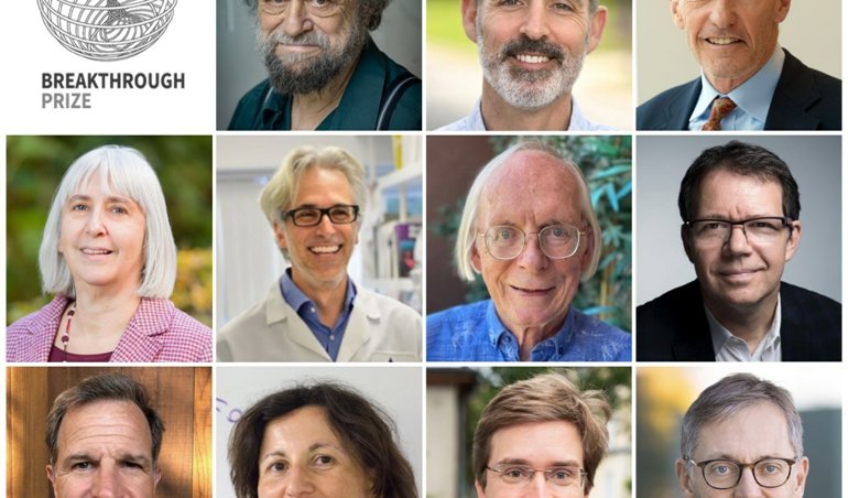 Comunicados Internacional