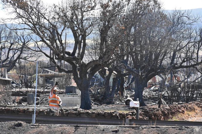 Consecuencias de los incendios forestales de Maui