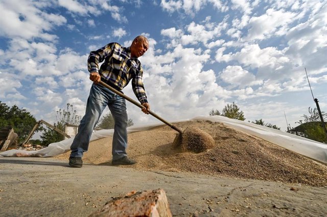 Agricultor ucraniano