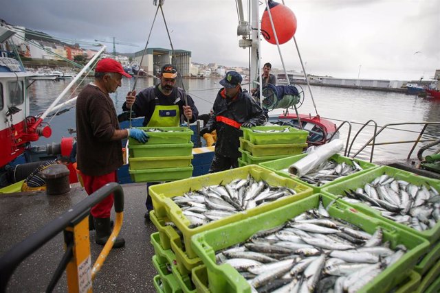 Archivo - Cajas de pescado a su llegada al Puerto de Burela. 