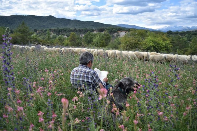 'El Pastor, El Perro Y Las Palabras'