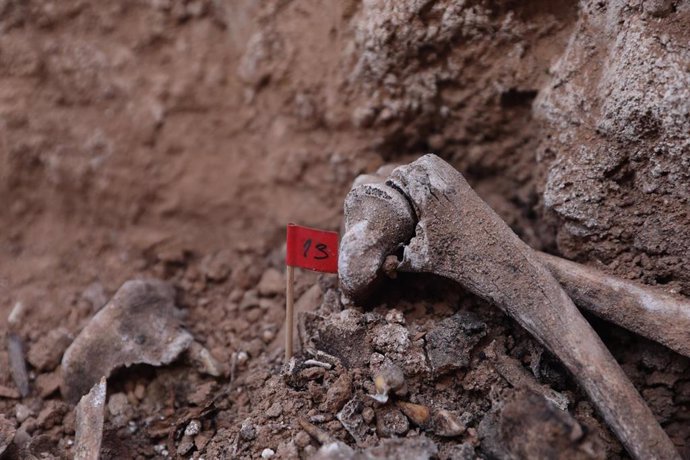 Archivo - Varios huesos encontrados durante la excavación de una fosa de la guerra civil en el cementerio de Belchite, a 4 de julio de 2022, en Belchite, Zaragoza, Aragón (España). 