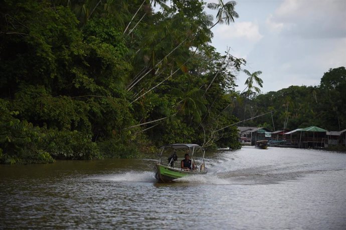 Archivo - Amazonas, Brasil.