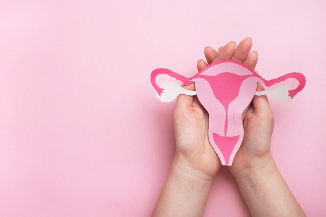 Archivo - Útero, ovarios. Concepto de salud de la mujer, ginecología y sistema reproductivo