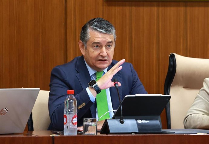 Archivo - El consejero de la Presidencia, Antonio Sanz, en una imagen de archivo de una comparecencia en Comisión. 