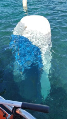 Campaña limpia agosto