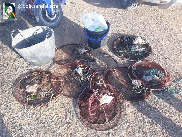 Intervienen once kilos de cangrejos verdes en Puerto Real en una inspección contra el marisqueo ilegal