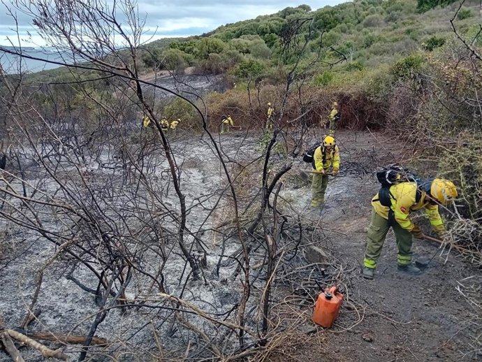 Efectivos del Infoca trabajan en el incendio de Algeciras