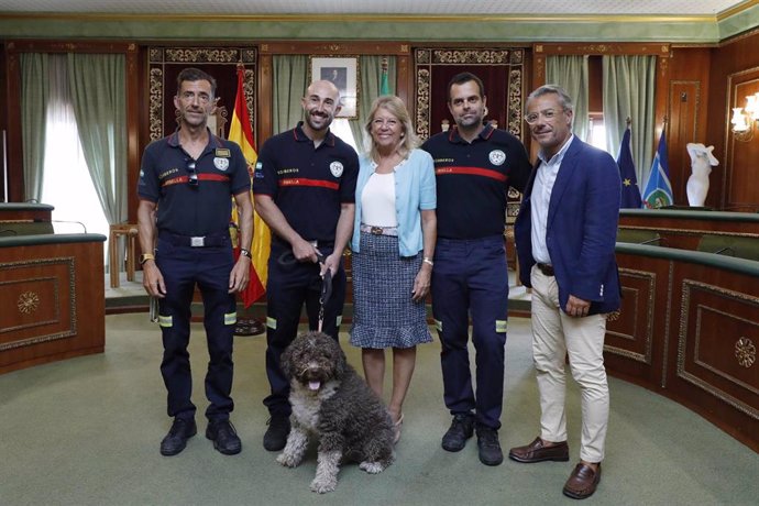 Ayuntamiento de Marbella propondrá a los dos bomberos desplazados a Marruecos para Medalla de Protección Civil