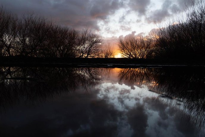 Archivo - Fuego en la Araucanía, Chile
