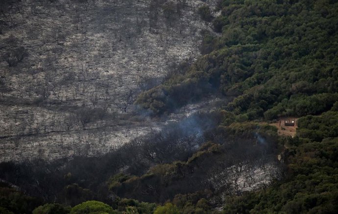Incendio forestal en Algeciras
