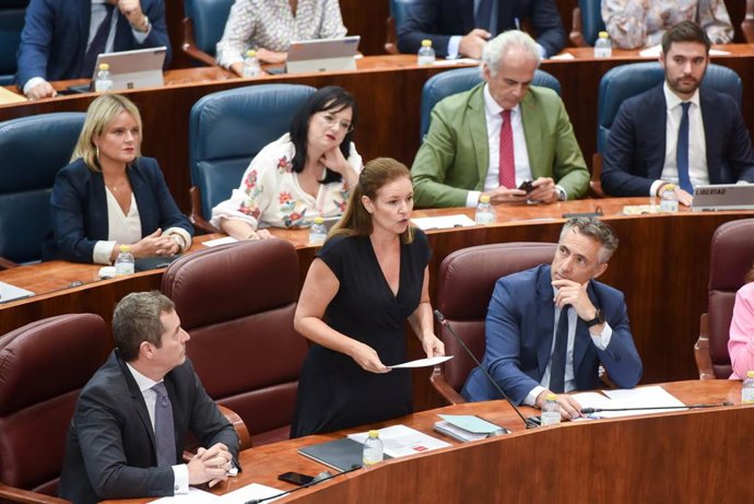 Ana Dávila durante una intervención en el pleno de la Asamblea.