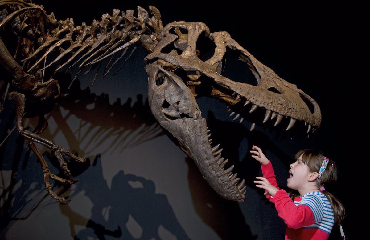 Dinosaur Tour, największa wystawa dinozaurów animatronicznych, po raz pierwszy zawita do Walencji