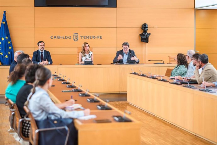 Reunión de la Mesa Insular de Cultura en el Cabildo de Tenerife